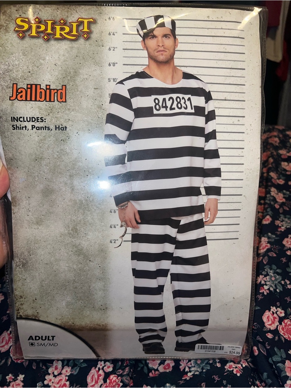 Spirit Halloween jailbird costume adult small-medium